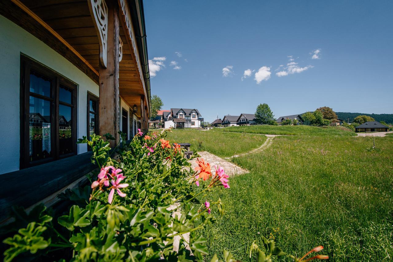 Pension La Roata Ґурагумора Екстер'єр фото